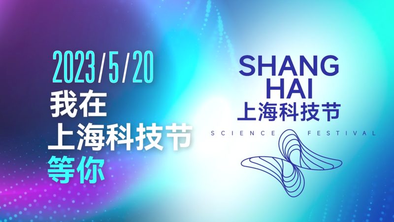中小企业星型模型：构建高效IT架构的关键**